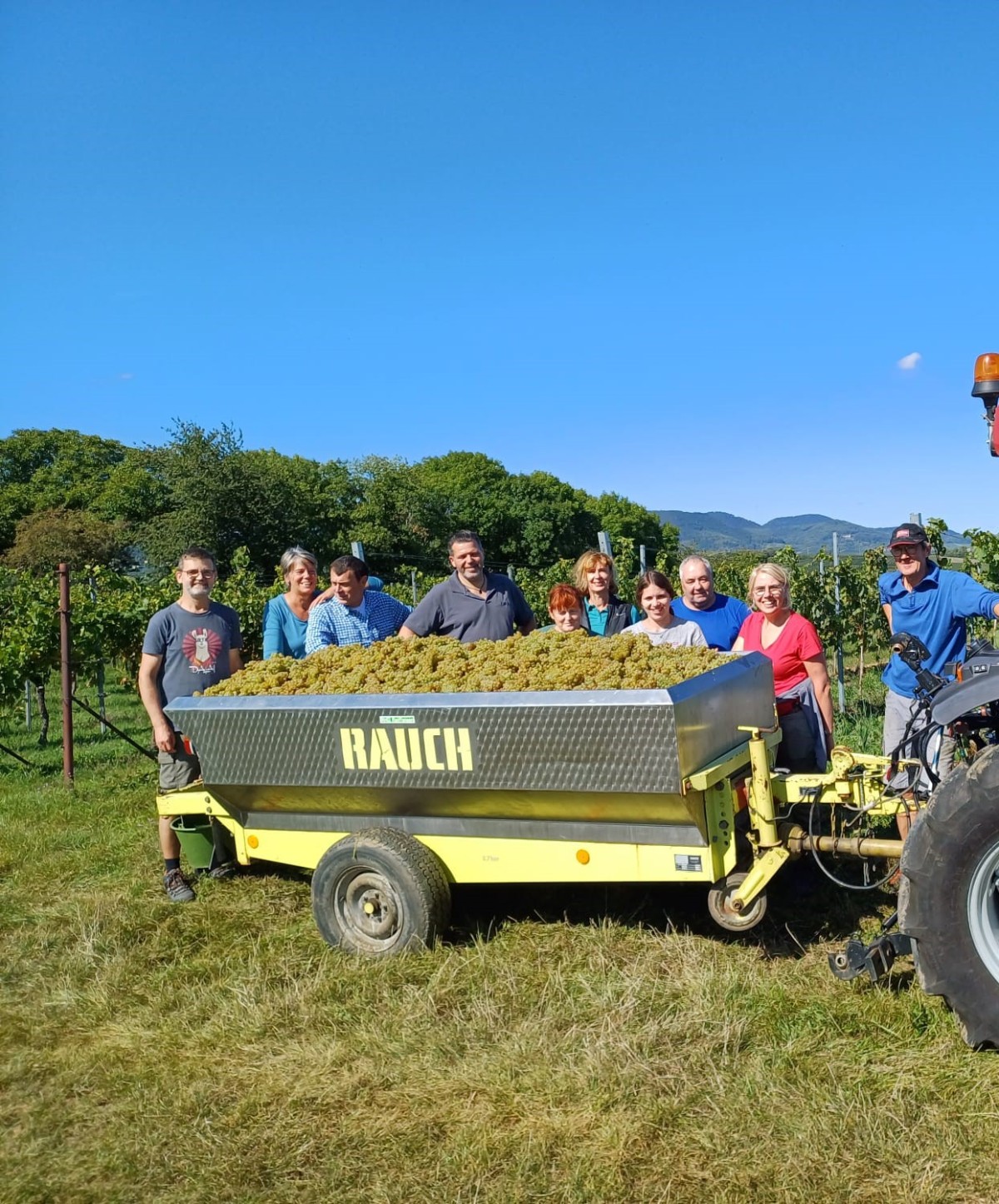 Bild | © Weingut Rinck-Wüst GbR